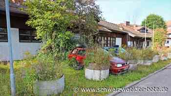 Silberdistel in Bad Liebenzell: Gemeinderat lehnt Baugenehmigung für Hotel ab