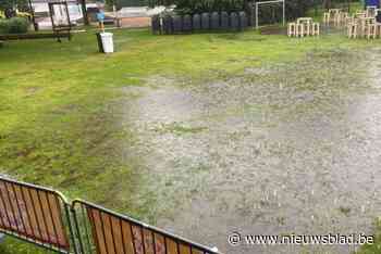 Terrein Geel Zomert verzopen, editie gaat niet door: “We krijgen het terrein niet meer droog”