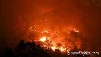 'The last 12 months have broken records like never before': Earth exceeds 1.5 C warming every month for entire year