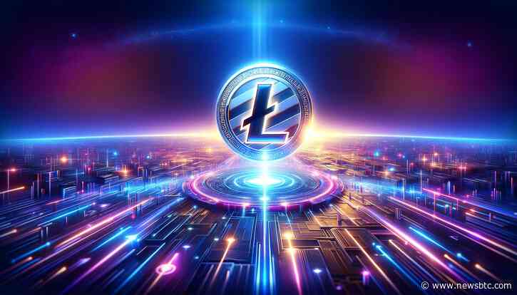 Litecoin Is A Hub Of Whales: Over $2.85 Billion Of $100,000 Transactions Processed