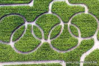 Peers maïsdoolhof met Olympisch thema: “Oppassen voor onnodige rondjes”