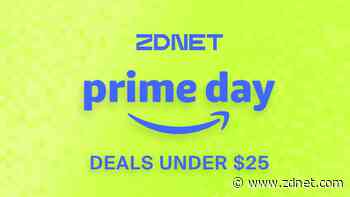 The 30 best Prime Day 2024 deals under $25