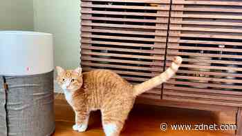 This air purifier is a must for pet parents, and it's $60 off ahead of Prime Day sales