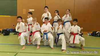 Karatekas des SV Steinheim bestreiten internationales Karate-Turnier