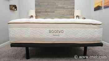 Best Mattress for Back Pain of 2024