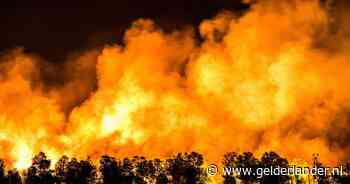 Kans op onbeheersbare bosbrand in Gelderland; provincie betaalt extra geld om ramp te voorkomen