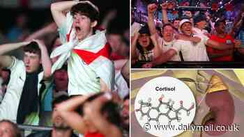 From sweating palms to 'rocketing' hormone levels: Exactly what will happen inside football fans' bodies as they watch England take on Spain in the Euro 2024 final this weekend