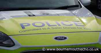 Missing teenage girl Ella Fremalova-Savas is found