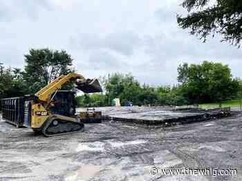 'This has a huge ripple effect': community abattoirs vital to local food systems