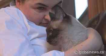 Clients raise concerns over animal care at Calgary pet hospital