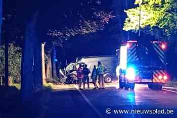 Twintiger knalt met bestelwagen tegen boom en sterft ter plaatse