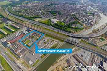 Genkse dakdekker Tectum renoveert dak van ‘werfkeet van de eeuw’