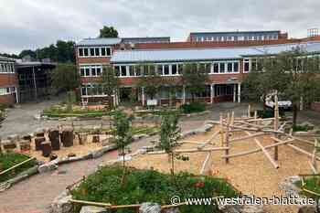 Halle will eigenständige Gesamtschule nicht kampflos aufgeben