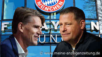 Nach Palhinha-Transfer: FC Bayern knackt 1-Milliarde-Marke