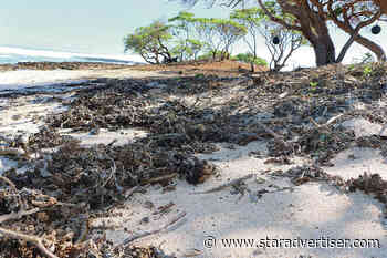 Marconi Point condo owner donates North Shore property, avoids fines for alleged habitat destruction