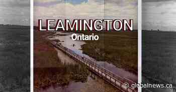 Ontario Road Trips: Why Leamington is a hot place to be right now
