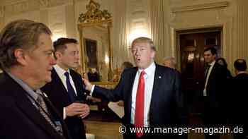 Elon Musk spendet „beträchtliche Summe“ für Donald Trump