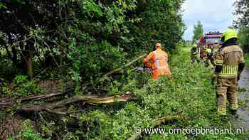 112-nieuws: boom blokkeert weg in Haaren • ongeluk op A2