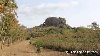 Discovery of 2,300-Year-Old Ancient Crops Challenges Modern Views on African Farming