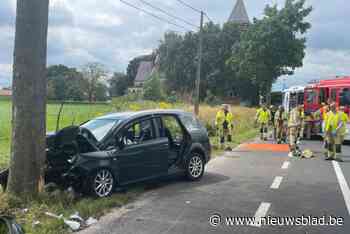 Auto crasht tegen boom: bestuurster met levensgevaarlijke verwondingen naar het ziekenhuis