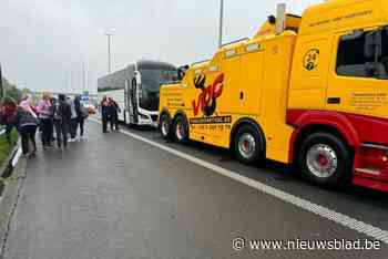 Bus vol toeristen maakt hallucinante rit op E19 nadat cruise control op hol slaat