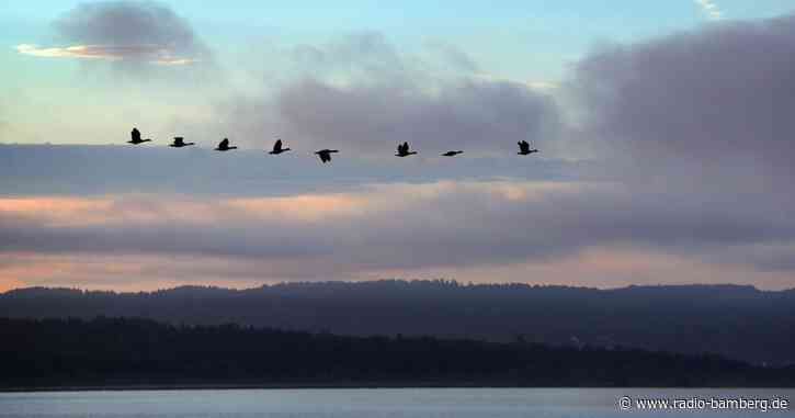 Wieder mehr Sonne in Bayern – Gewitterrisiko bleibt