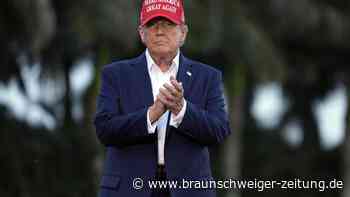 Elon Musk soll Trump in „Swing States“ unterstützen