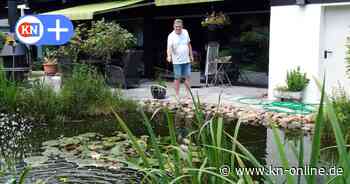 Remscheid: Waschbären töten Koi-Karpfen und Mischlingshund: „Bei Gefahr muss ich mich doch schützen dürfen“