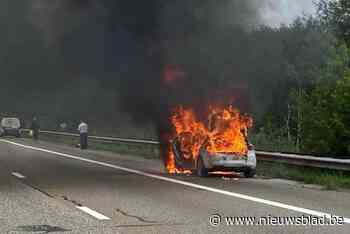 Auto in volle vuur op pechstrook E314 in Zonhoven