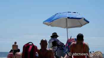 On NYC beaches, angry birds fight drones patrolling for sharks and struggling swimmers