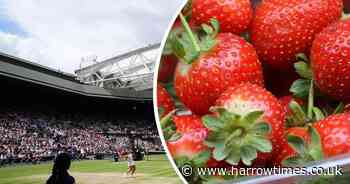 How many strawberries are eaten at Wimbledon? Price of portion