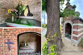 Dankzij getuige kan politie vijftiger vatten die tien kapelletjes bekladde: “Op zijn handen zat groene verf”