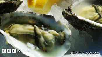 'Historic tradition could become elitist' - mayor