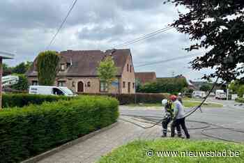 Elia sneller klaar met vrijmaken woningen in Leest, bewoners mogen terugkeren