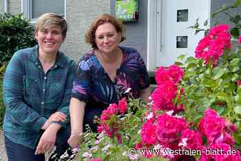 Zuschuss für Bienen und Hummeln