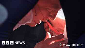 Trump rushed off stage at rally as shots  heard