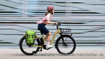 Forscher raten zu Lehren aus schweren Radunfällen auf Landstraßen