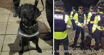 Police dog sniffs out people with drug in Rossendale pubs