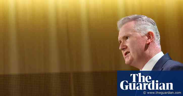 CFMEU could be deregistered ‘if that’s what needs to be done’ after allegations, minister says