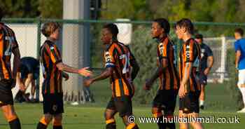 Thrilling glimpse into Hull City future as Tim Walter's transfer needs laid bare