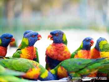 How AI in Ecommerce Is Getting Talkative