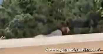 Video shows gunman during Donald Trump assassination attempt