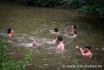 Zestigtal natuurliefhebbers springen in Dijle voor betere waterkwaliteit: “Zou geweldig zijn als we hier altijd mochten zwemmen”