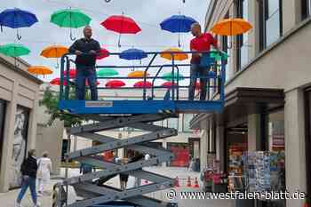 Herford: ein Himmel voller Schirme