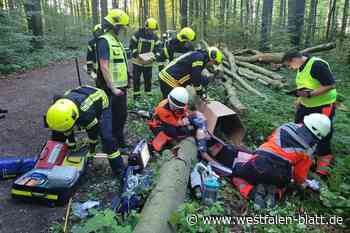 Feuerwehr und Rettungsdienst üben im Schweichelner Wald