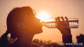 Environment Canada issues heat warning for Hamilton starting Sunday