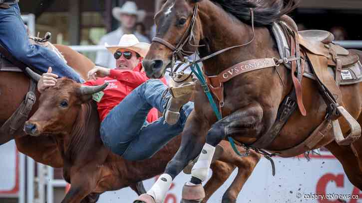 Horse euthanized after suffering fracture during chuckwagon races at Calgary Stampede