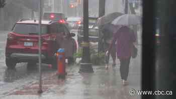 Thunderstorm watch, heat warning issued for Hamilton