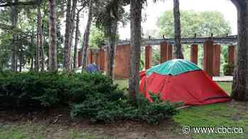 1 year after allowing tents in some Hamilton parks, council looks at new options for encampments