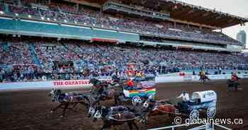 Veterinarians euthanize 3rd horse following Calgary Stampede injuries